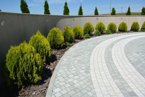 Best Local Driveway Pavers  in Zwolle, LA